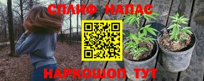 стаф Нальчик
