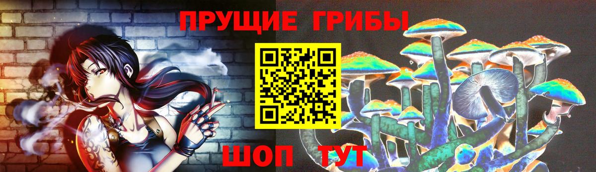 Псилоцибиновые грибы мицелий  Вход с VPN  Шебекино  Псилоцибиновые грибы ЛСД 