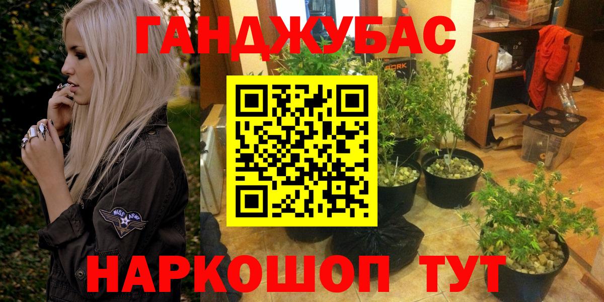 Шебекино  Марихуана тримм  Вход с VPN  Конопля планчик  Бошки марихуана SATIVA & INDICA 
